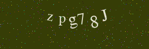 Validation image